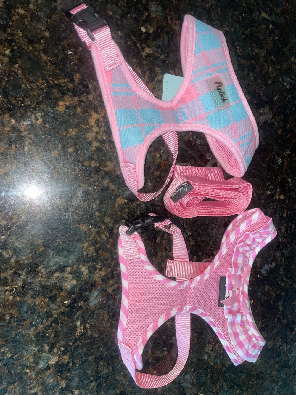 Pupteck Harness and Leash Set Size M
